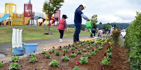 平成29年立山町総合公園のパンジー苗植え